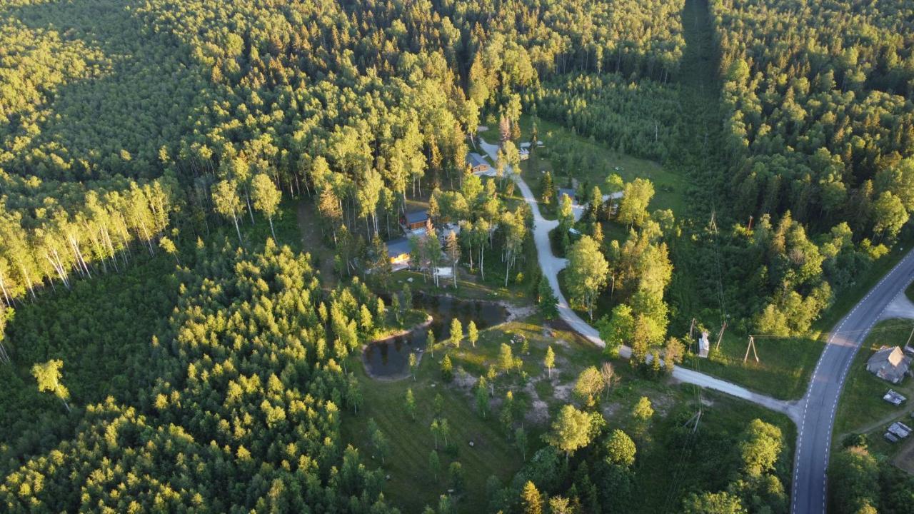 Marika Puhkekuela - Metsanurga Oeoemaja "Shared Bathroom" Nova Esterno foto