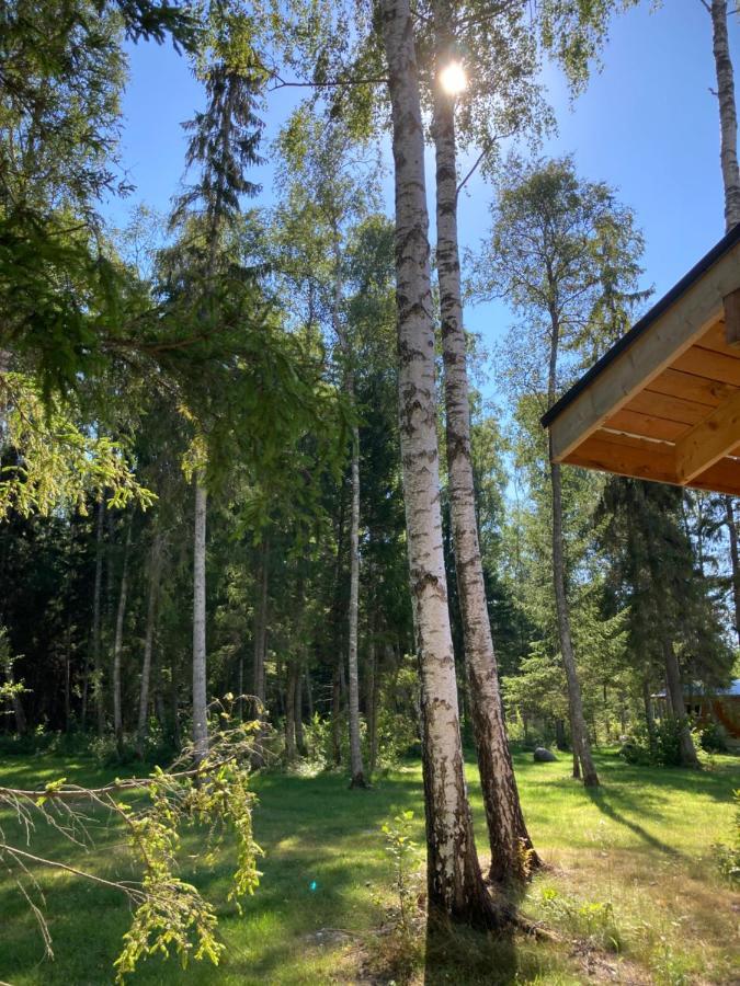 Marika Puhkekuela - Metsanurga Oeoemaja "Shared Bathroom" Nova Esterno foto